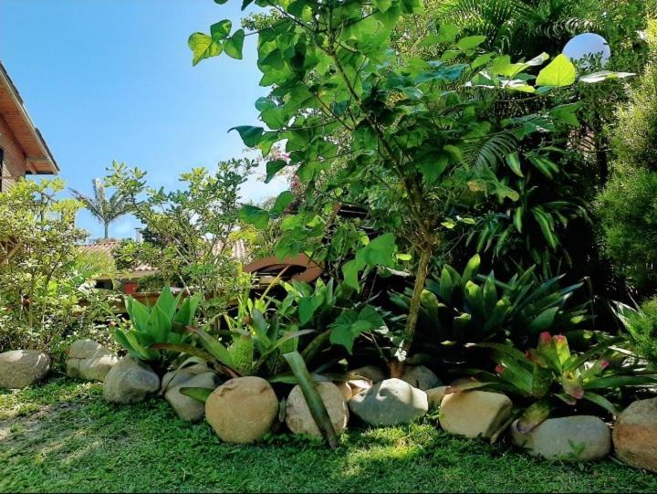 Villa Josefa - Chale Completo Com Piscina E Churrasqueira Praia do Rosa Luaran gambar